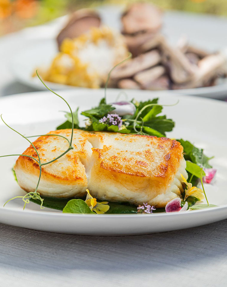 catering services dish featuring pan seared halibut